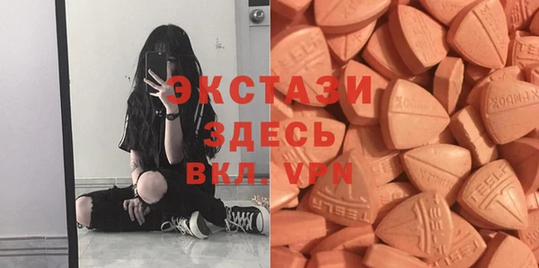 стаф Инта