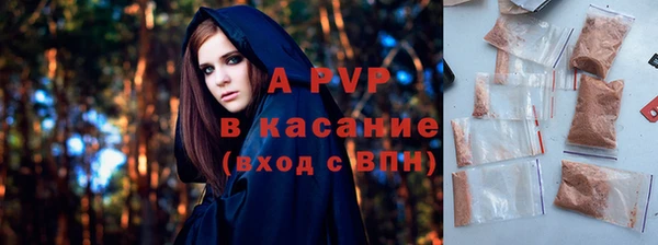 стаф Инта