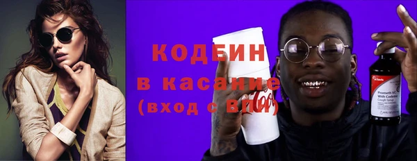 стаф Инта