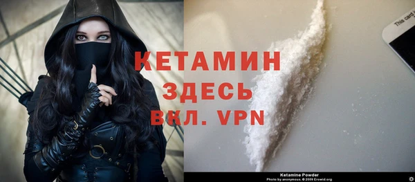 стаф Инта