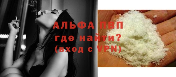 стаф Инта