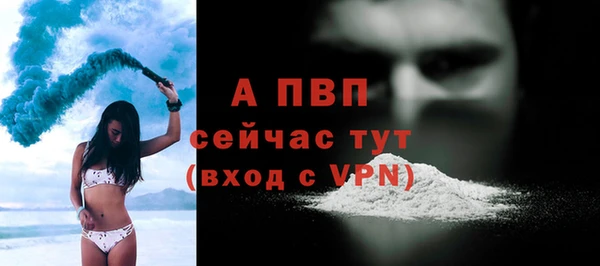 стаф Инта