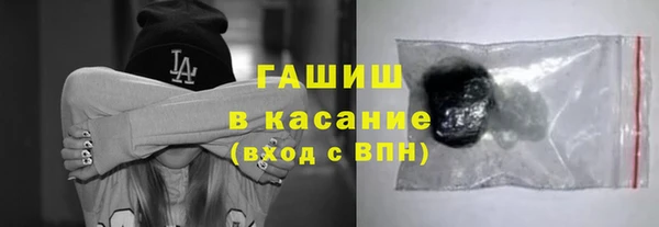 стаф Инта