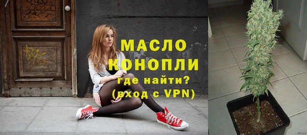 стаф Инта