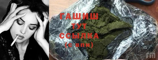 стаф Инта