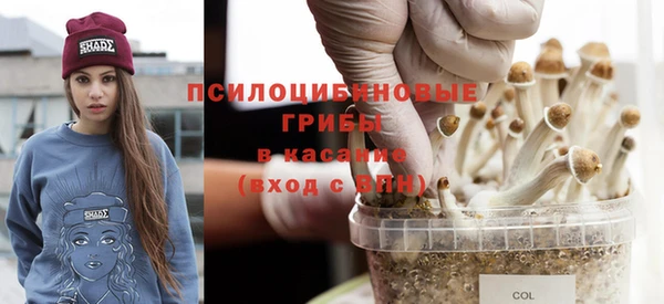 крисы Инсар