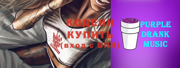 стаф Инта