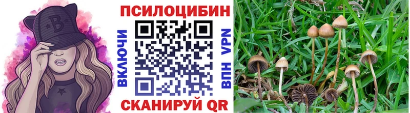 Псилоцибиновые грибы Psilocybe  Ирбит 