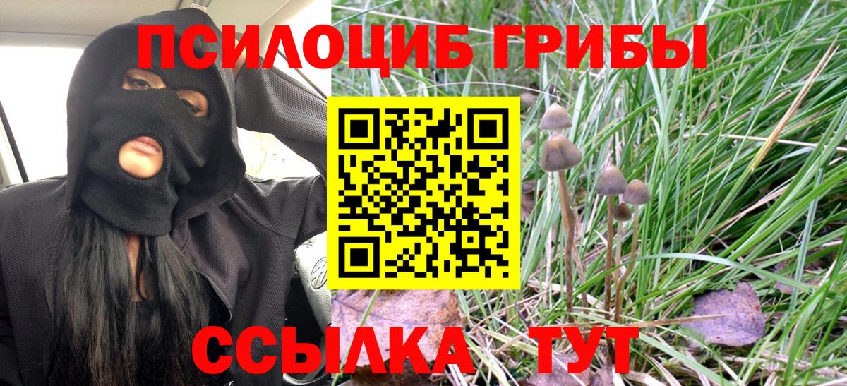 Ирбит  Галлюциногенные грибы мицелий  Вход с VPN 